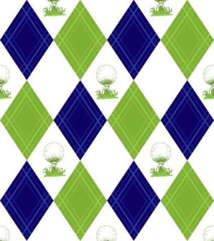 Fairway Golf Skort - NEW