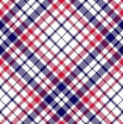 Patriotic Plaid Everyday/Tennis/Pickleball Skort